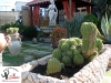 thumbs garden 03 Foto