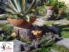 thumbs garden 04 Foto