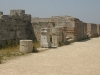 thumbs paestum 05 Paestum