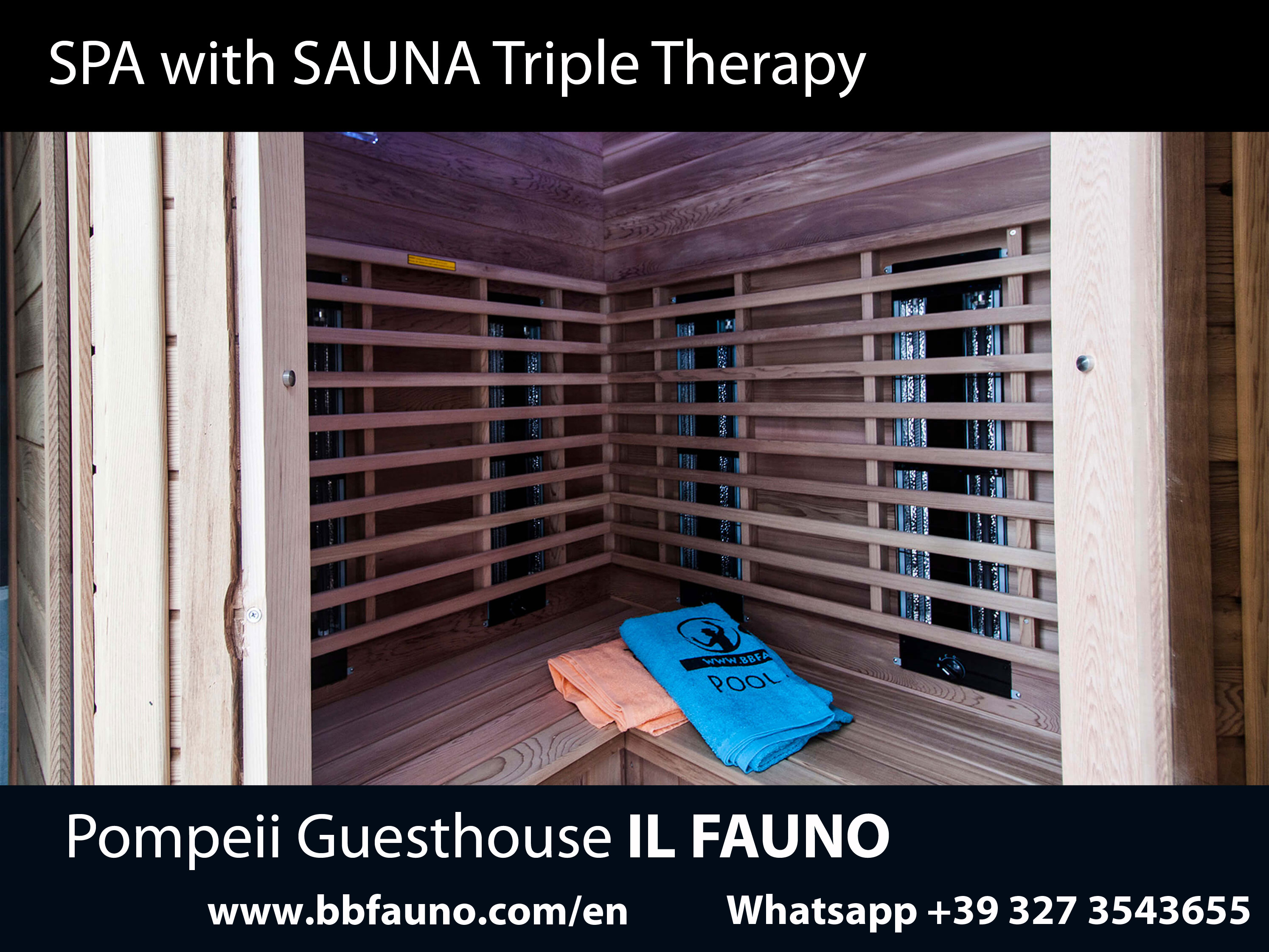 Pompeii Guesthouse sauna