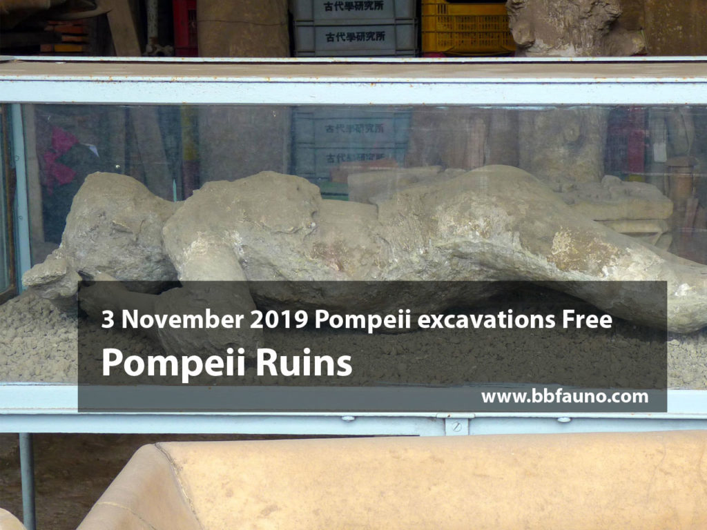 3 November 2019 Pompeii excavations Free