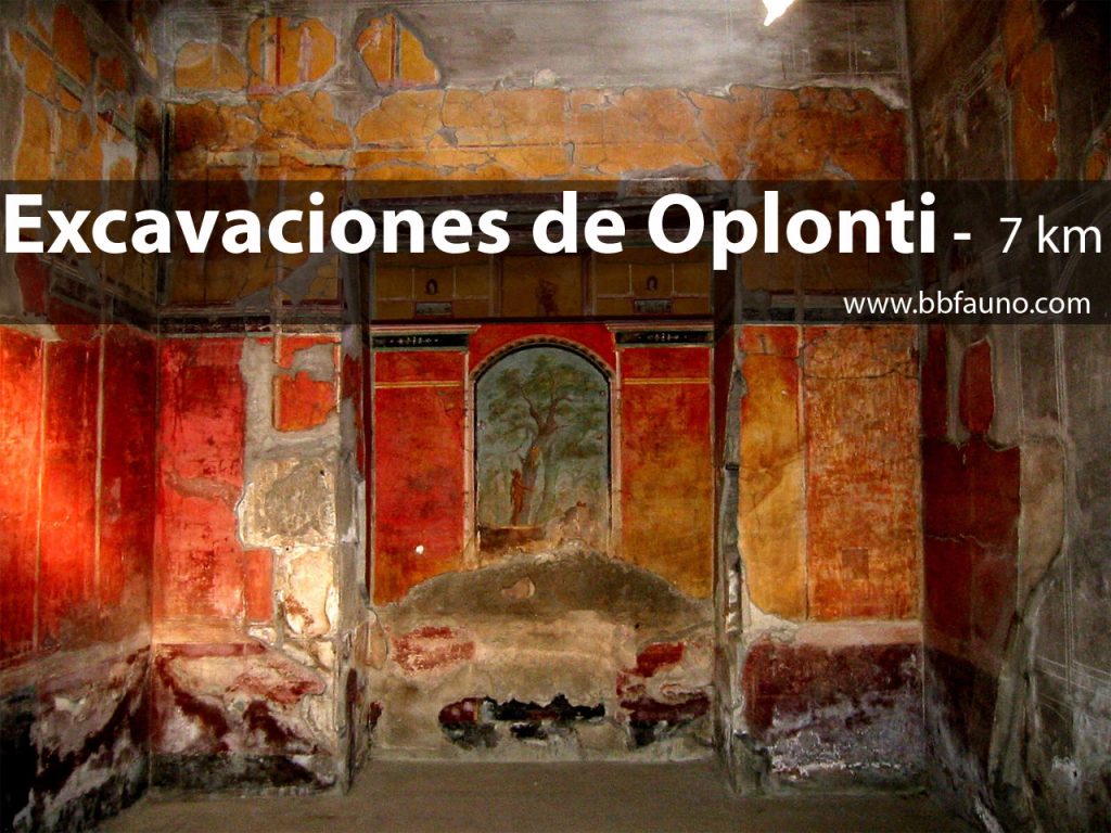 Excavaciones de Oplontis